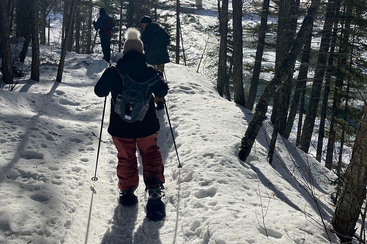 Glacier Park Cross-Country Skiing Tour Tour Image 7