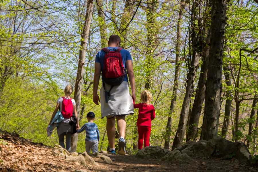 A family hikes through a sunny forest on a fun outdoor adventure.