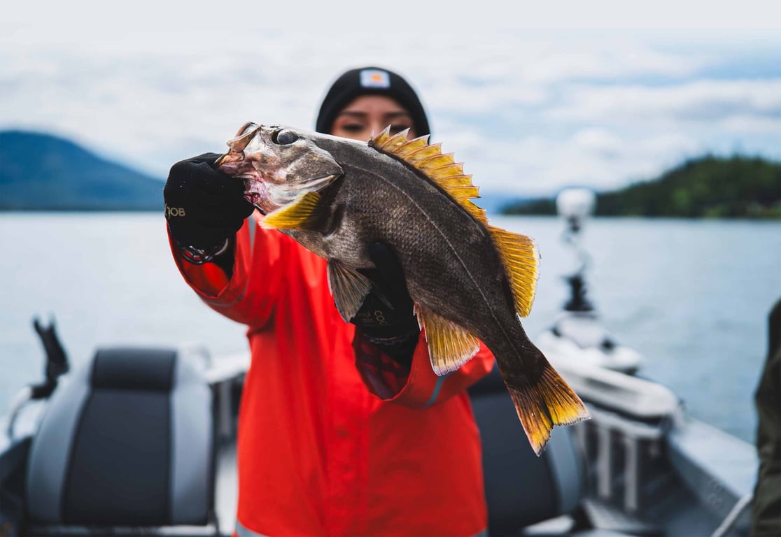 Alaska Fishing: Cook your Catch Tour Image 11