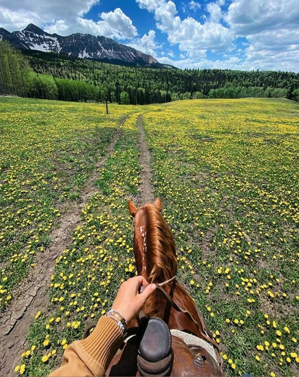 Horseback Trail Rides Private 2 Hours  Tour Image 3