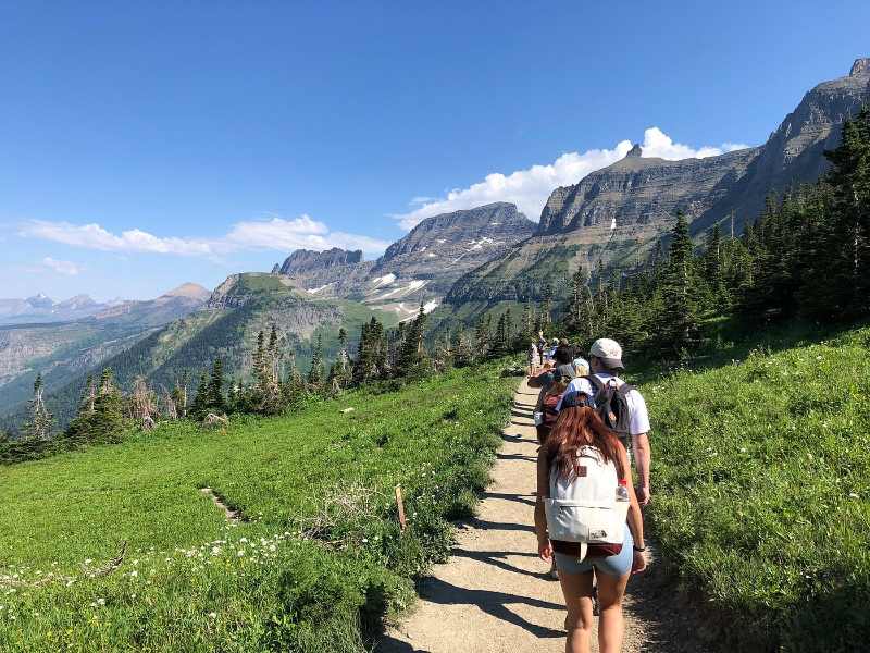 Highline Trail on Logan Pass review image 1