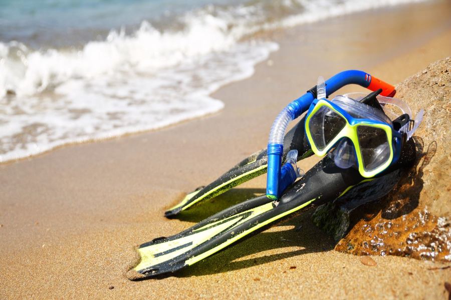Top 15 Snorkeling Spots in Grand Cayman