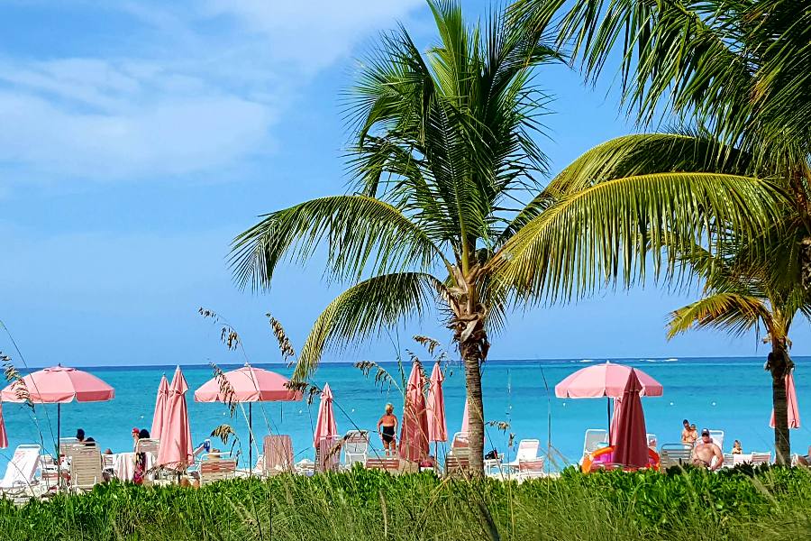 Our Favorite Things to Do & See In South Caicos
