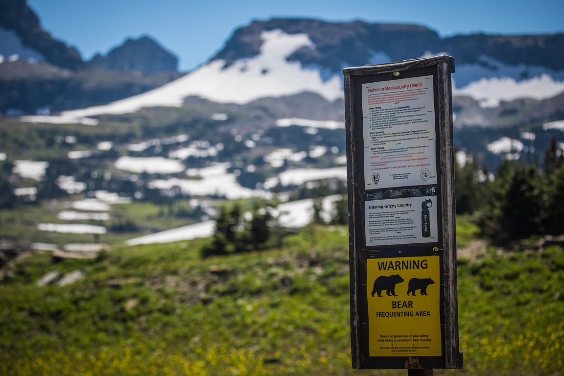 A bear safety sign