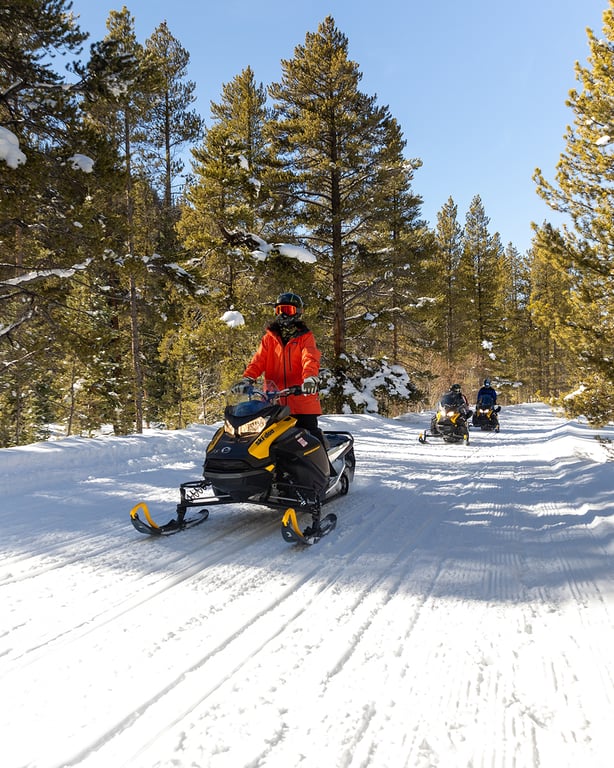 Afternoon Half Day Camp Hale Snowmobile Tour image