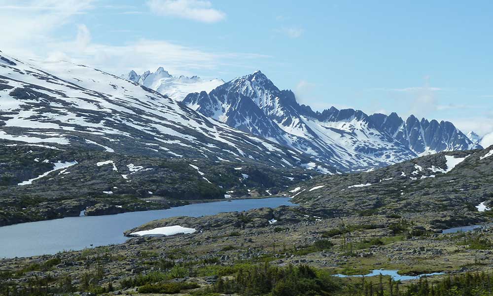 White Pass Summit & City Tour image