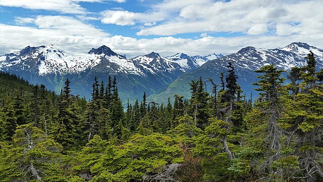 Things to do in Skagway in 2025 image