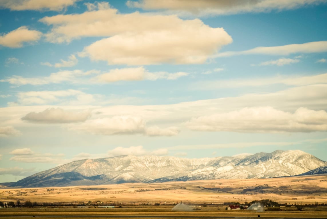 Bozeman Wildlife & Scenic Sightseeing Tour Tour Image 7