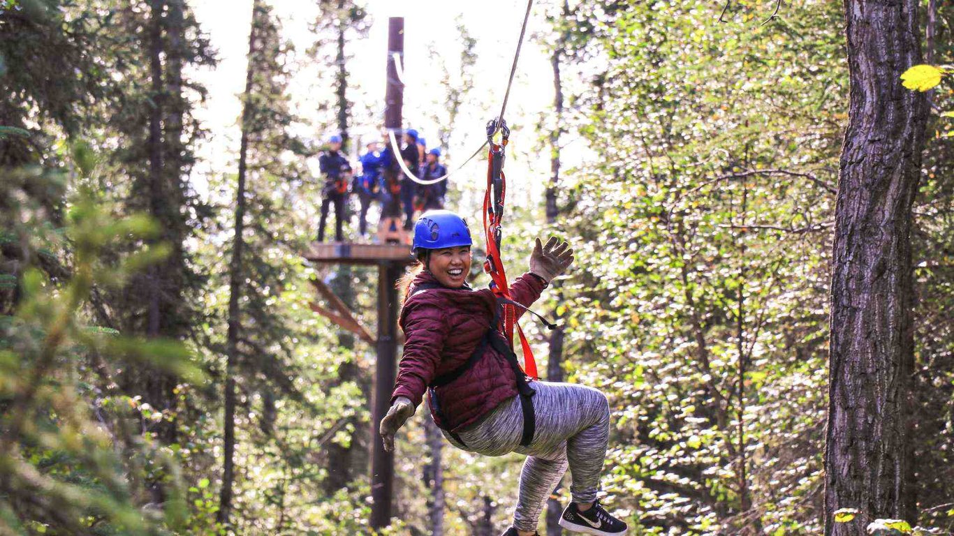 Denali Park Zipline Adventure Tour Image 6
