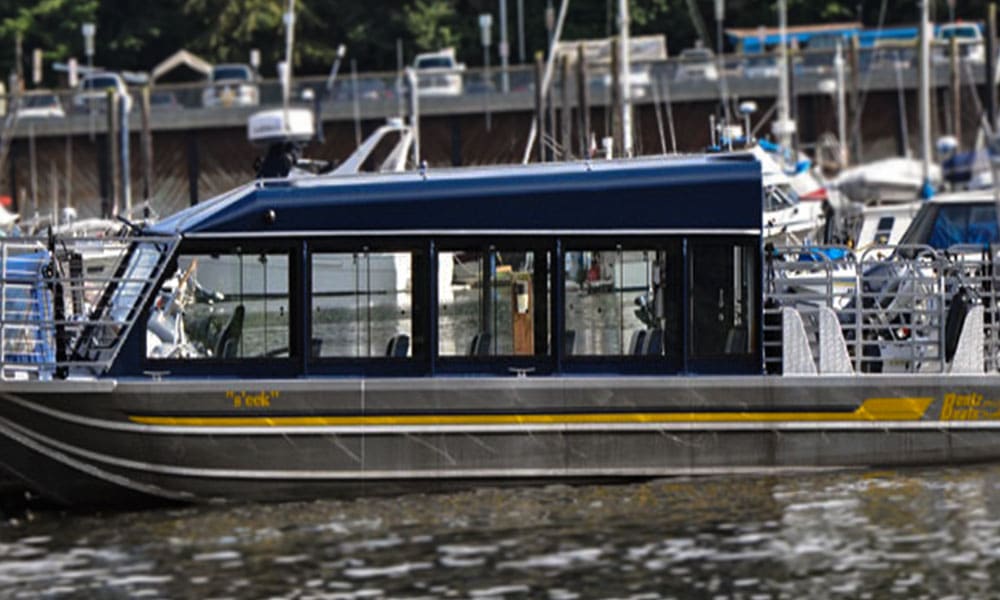 Whale Watching Tour Tour Image 32