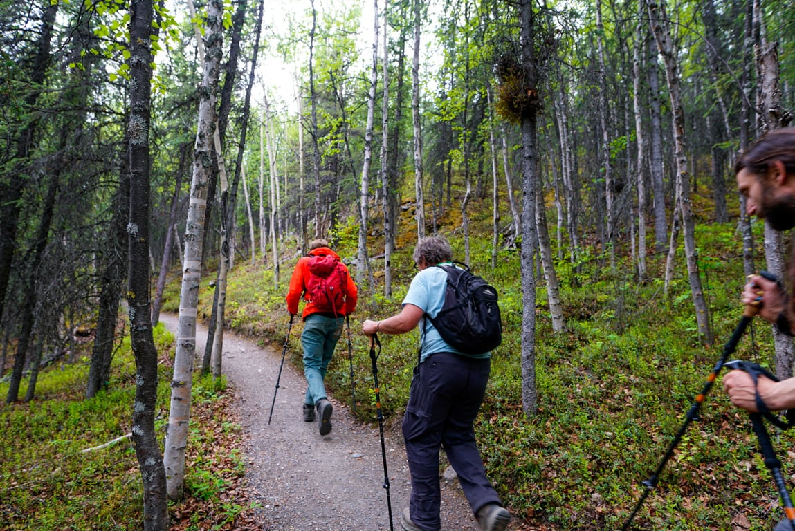 Denali Naturalist Walking Tour Tour Image 3