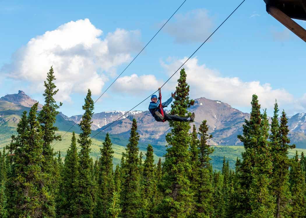 Denali Park Excursion Guide