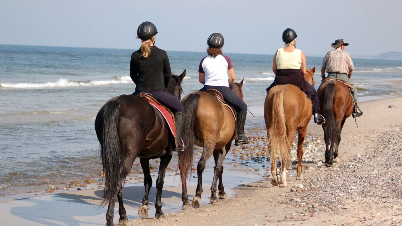 Glass Bottom Boat, Sloths & Horseback Riding Tour Image 1