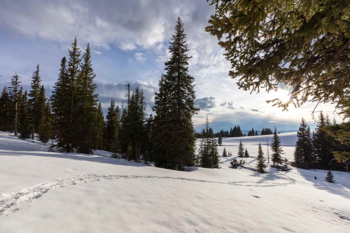 Columbia Falls Winter Snowshoe Tour Image 5