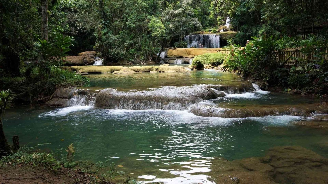 Appleton Estate, Black River & YS Falls Combo Tour Image 7