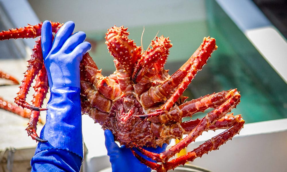 Bering Sea Crab Fishermen's Tour Tour Image 4