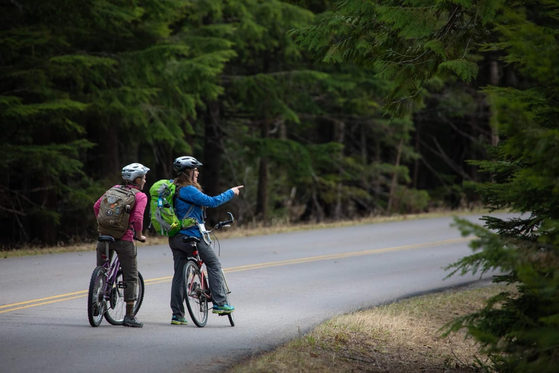 Private E-Bike Shuttle Going-to-the-Sun Road Tour Image 5