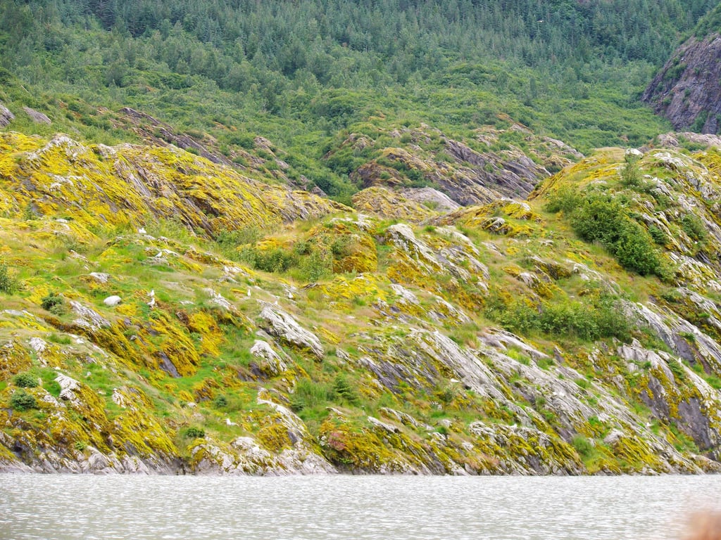 A kayaker kayaks in Alaska on July 12, 2017- Yay! review image 1