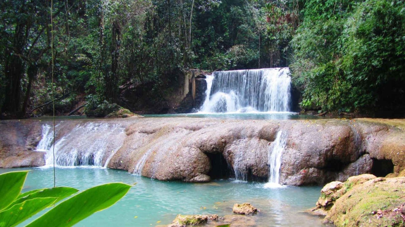 Appleton Estate, Black River & YS Falls Combo Tour Image 2