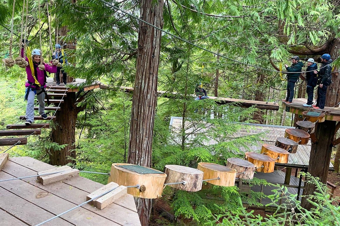 Ketchikan Zipline Adventure Tour Image 5