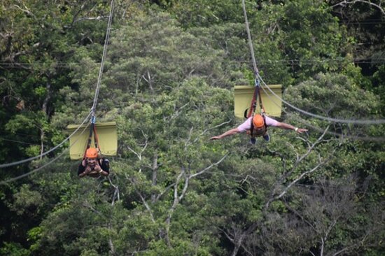 Zipping review image 0