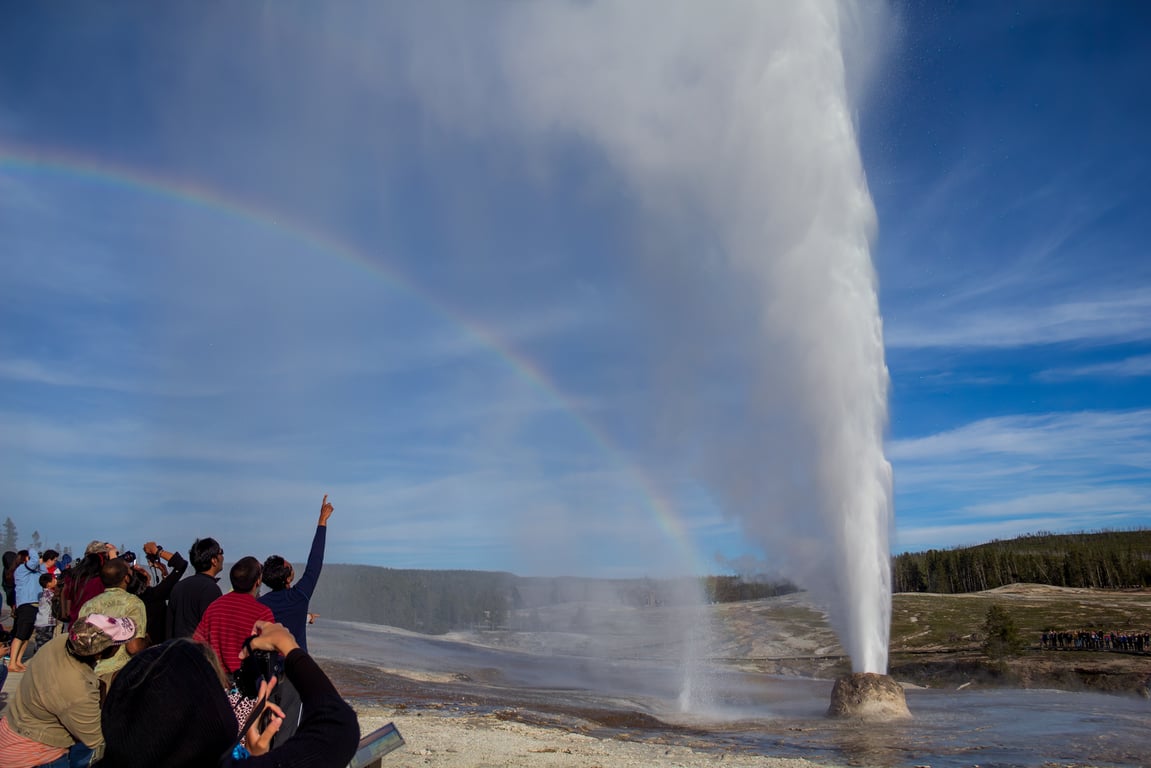 Private Hiking & Hot Springs From West Yellowstone Tour Image 6