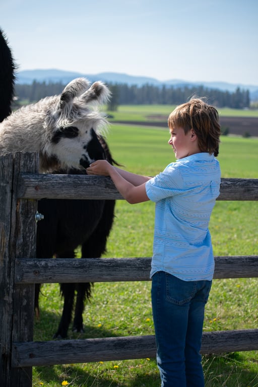 Llama Farm Tour Tour Image 3