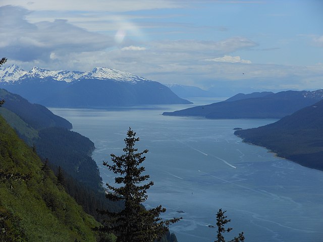 Discover the Wonders of Mt. Robert's Tramway with Alaska Shore Tours