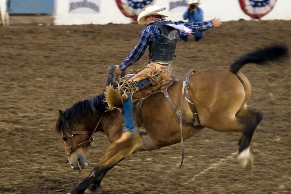 Private Montana Rodeo Experience image