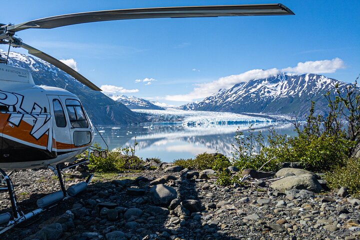 Anchorage Heli-Hiking Excursion Tour Image 6