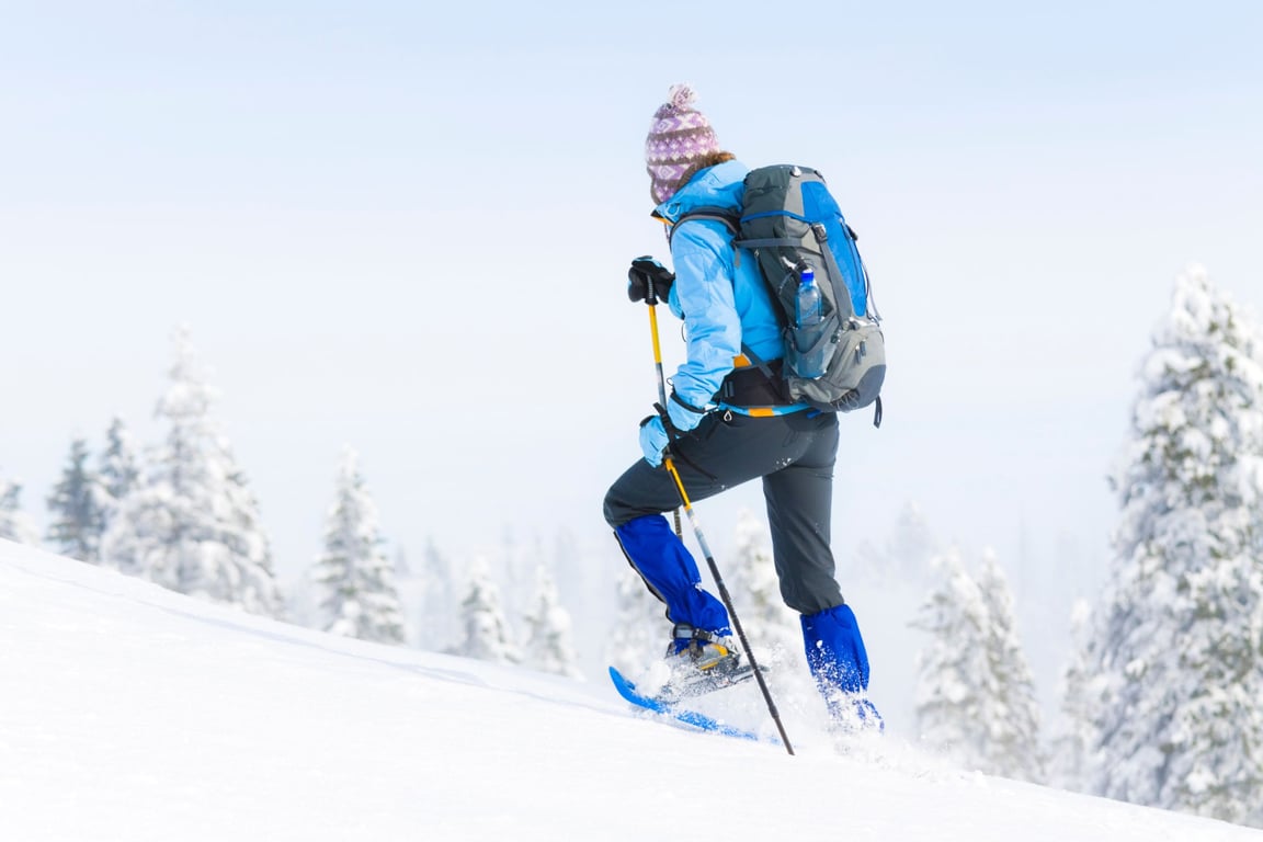 Guided Snowshoe Tour - Half Day Tour Image 6