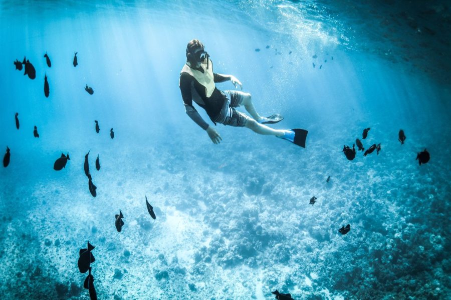 Our Local Expert's Guide to the Blue Hole of Belize