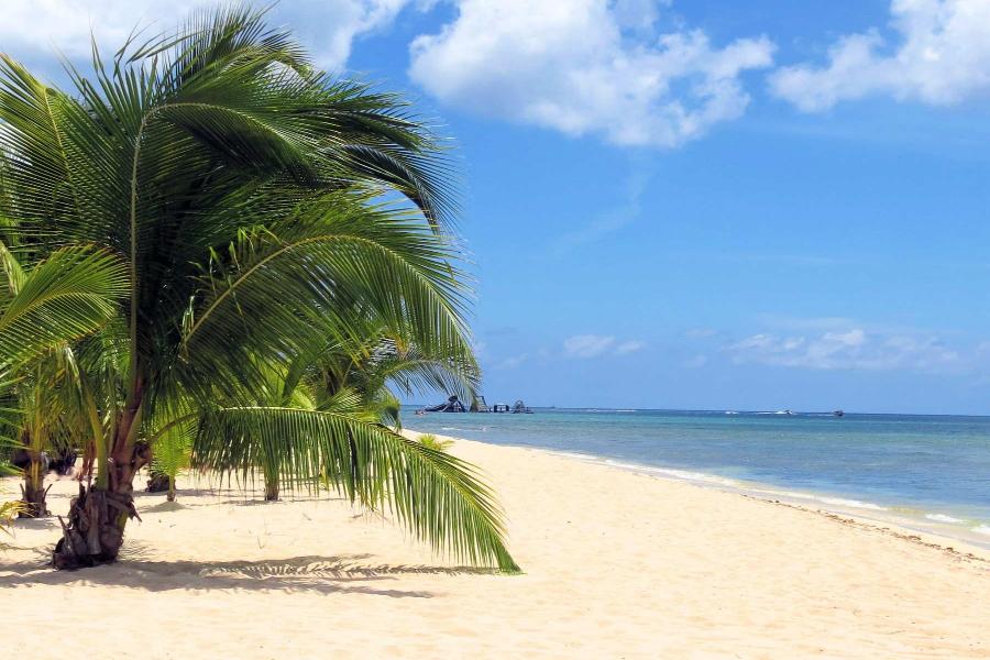 What To Do In Cozumel? - Your Guide To The Top 13 Things To Do