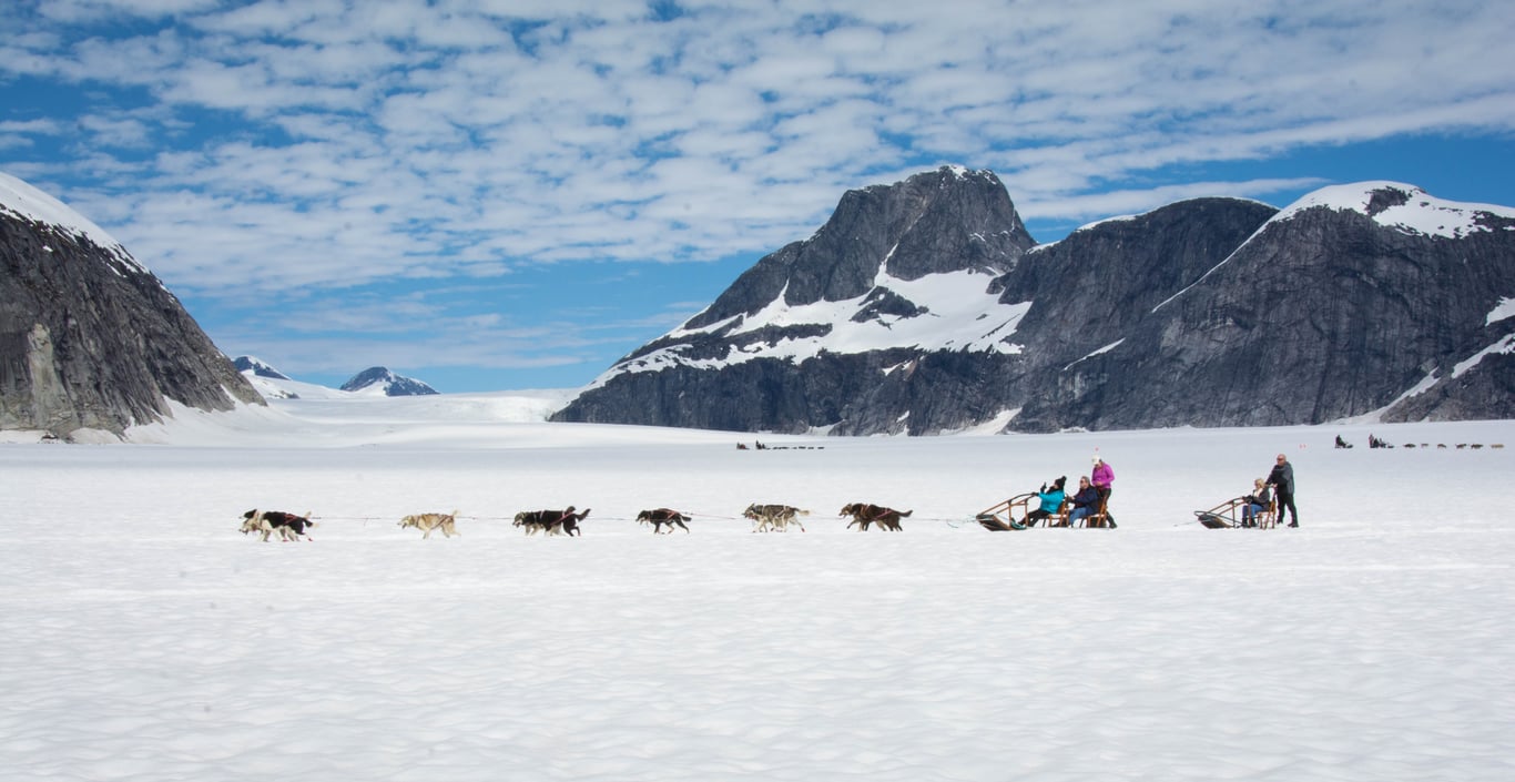 Glacier Dog Sled Adventure Tour Image 2