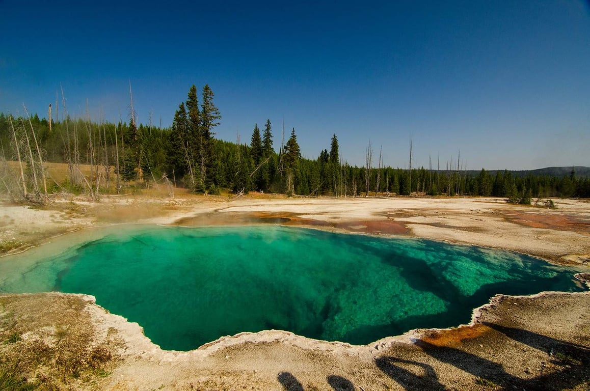 Private Old Faithful & Lower Loop From West Yellowstone Tour Image 11