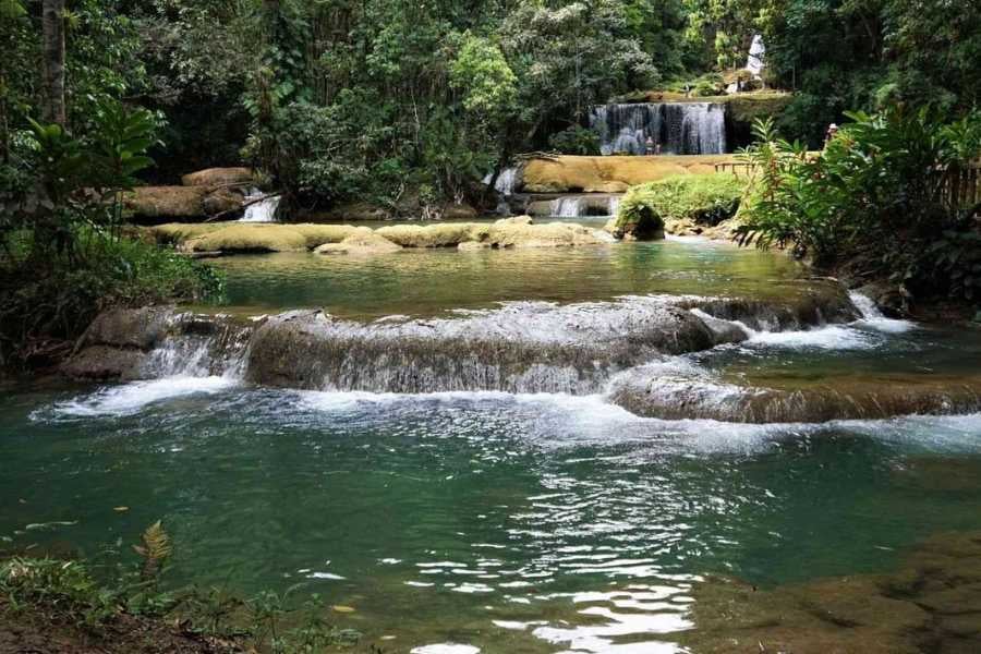 Peaceful river cascades surrounded by lush forest, creating a tranquil escape into nature’s beauty.