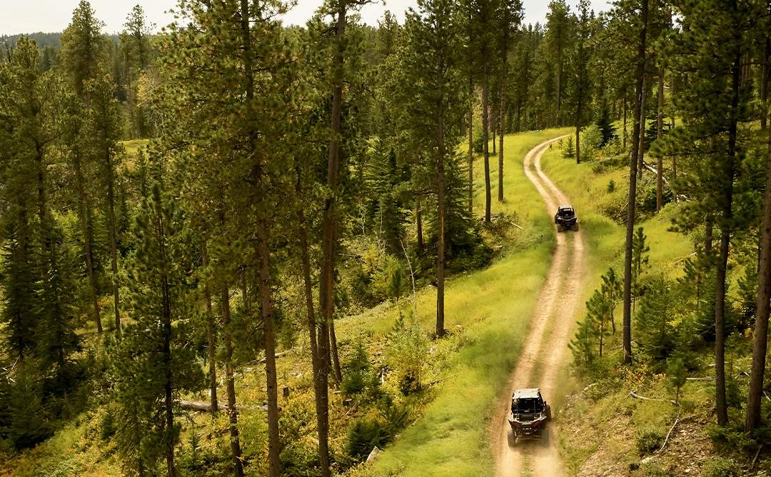 値引き！MountainSurマウンテンサーフ FREE RIDE SERIES 2017 to 2023+ Powertrail 270HP ECU reflash for Sidewinder