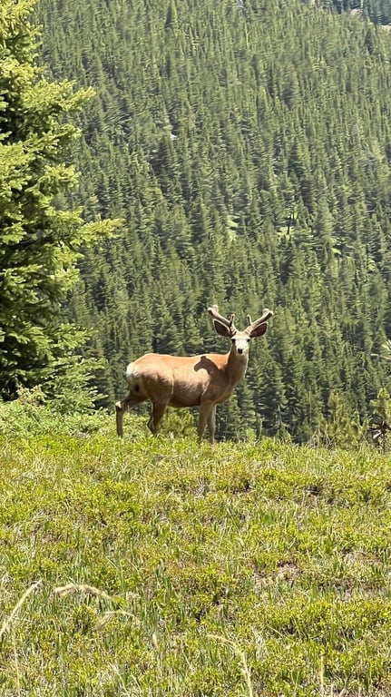 Great scenic adventure! review image 0