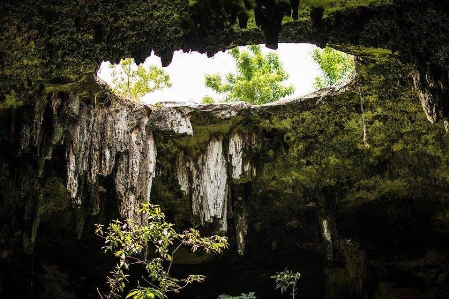 Free Guide: Top 5 Best Cancun Cenotes