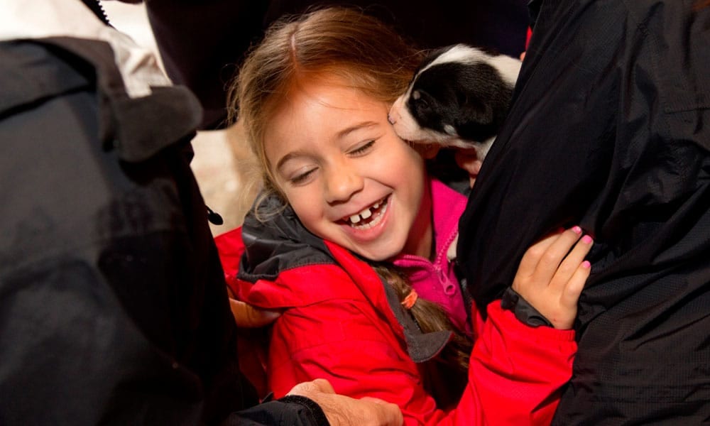 Skagway Sled Dog and Musher's Camp Tour Image 22