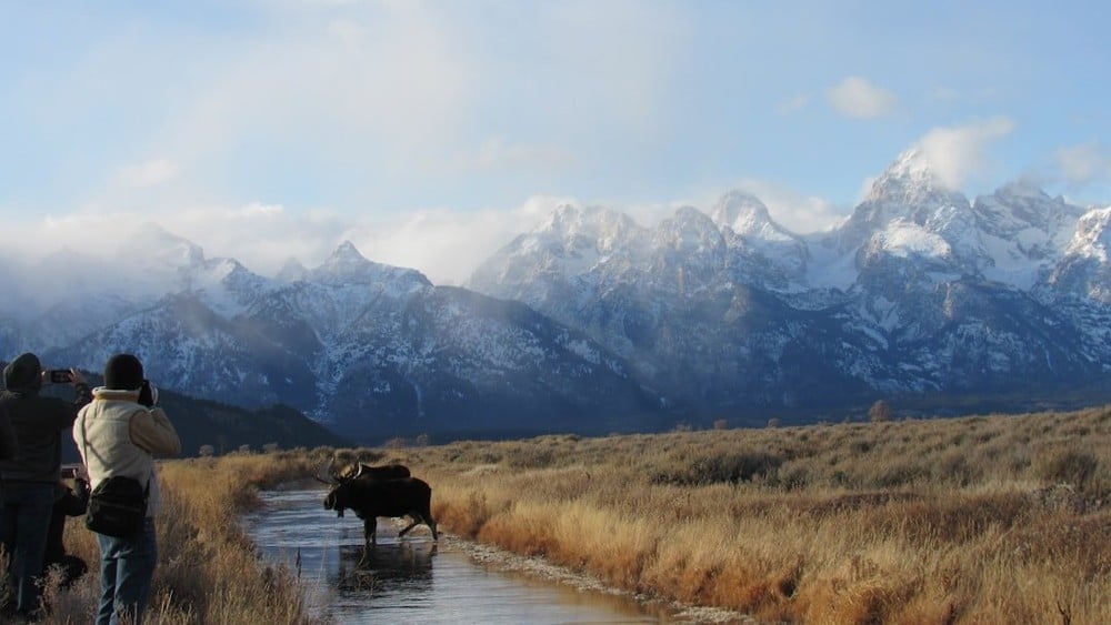 Private Grand Teton Day Tour Tour Image 2