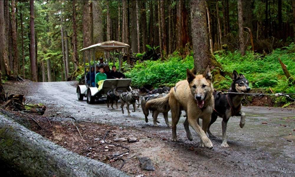 Juneau Cruise Port Guide: What You Need To Know