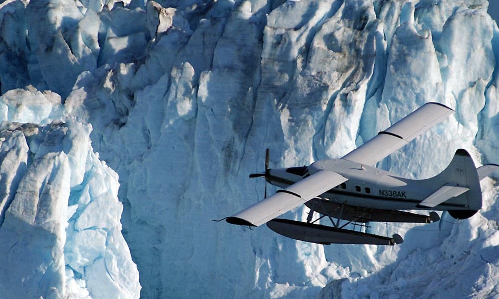 Taku Glacier Lodge Feast & 5-Glacier Seaplane Discovery Tour Image 14