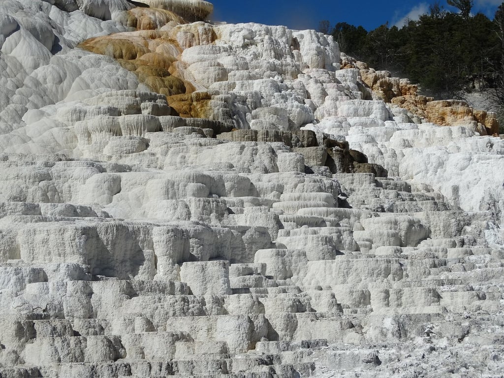 Incredible Yellowstone Tour review image 0