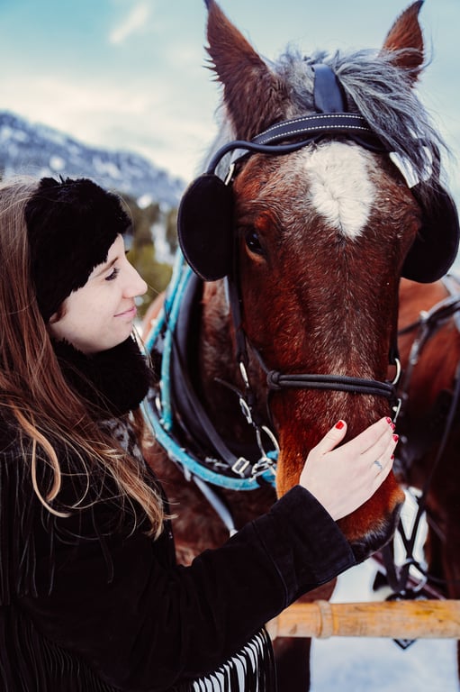 Snake River Ranch Sleigh Ride Tour Image 7