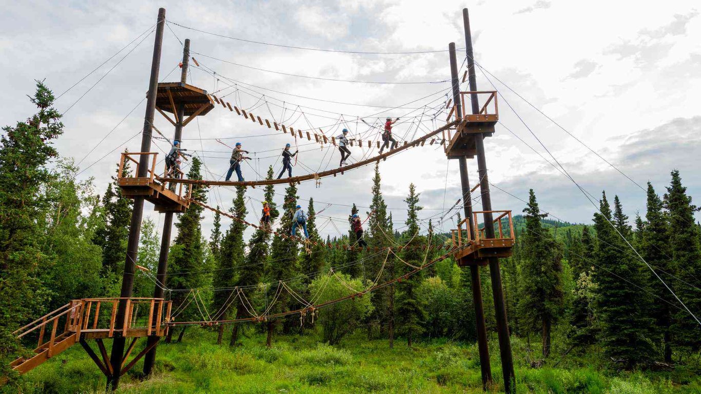 Denali Park Zipline Adventure Tour Image 3
