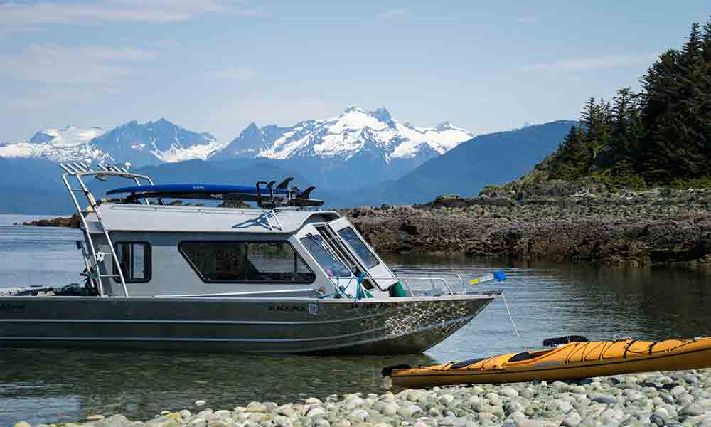 Paddle with Whales Kayak Adventure Tour Image 12
