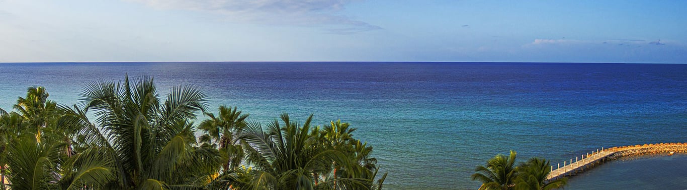 Understanding Jamaica's Weather & Climate image
