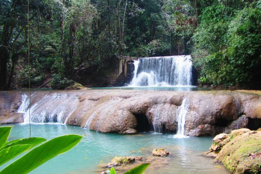 A peaceful waterfall flows into a turquoise pool, surrounded by lush greenery.