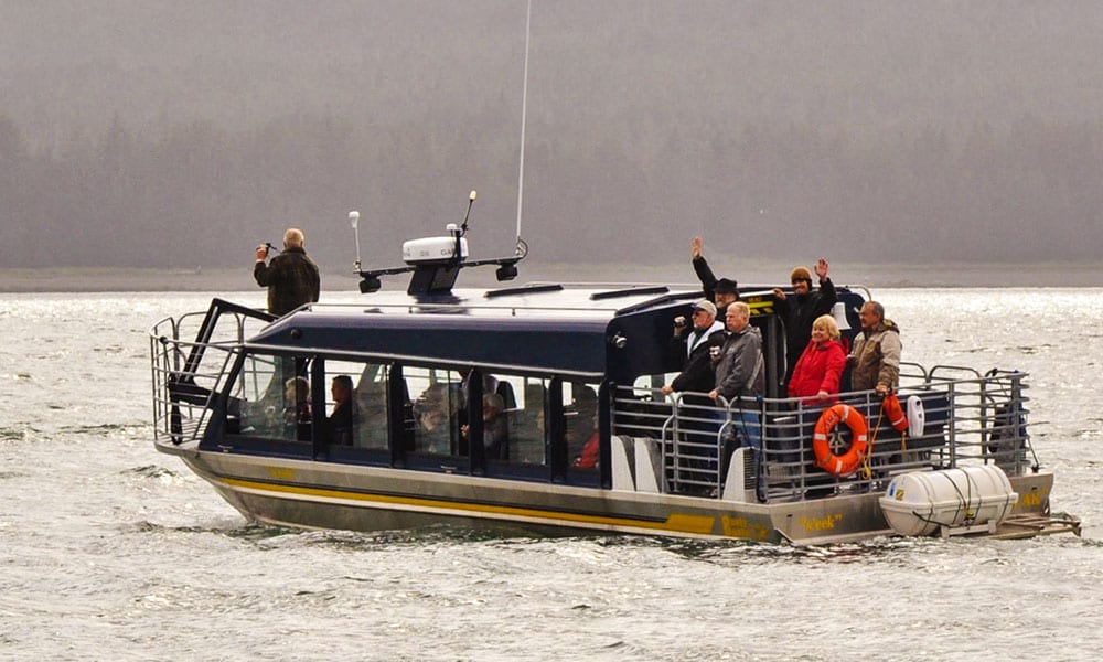 Whale Watching Tour Tour Image 28
